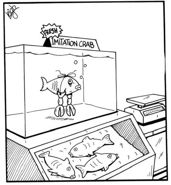 dans le bocal28-humourenvrac